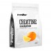 Креатин IronFlex Creatine Monohydrate 1000g