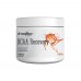 IronFlex BCAA Recovery 200g